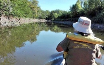 El río Luján entre la contaminación y el relleno de humedales