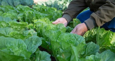 La Agroecología como política de salud pública
