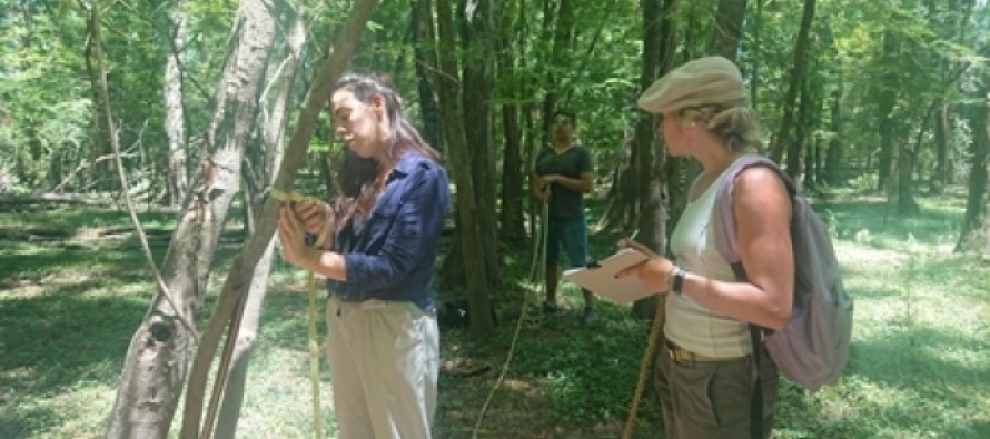 El Comité de Cuenca del Río Luján realizó el primer relevamiento de Acacias Negras