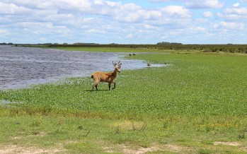 Turismo de cercanía: destinos imperdibles en la zona norte