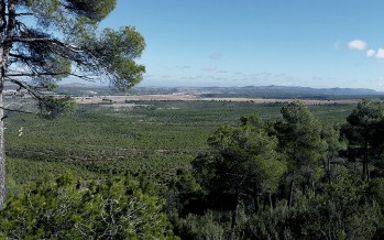 La clave que interrelaciona sociedad y naturaleza para entender el coronavirus