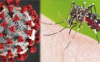 Que el virus no te tape al mosquito
