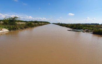 Arroyo Claro: cómo mejoró el curso contaminado a partir del aislamiento