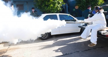 La Provincia estableció pautas de acción frente al aumento de mosquitos