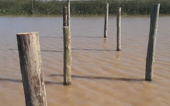 San Isidro denunció usurpación en las islas frente a sus costas