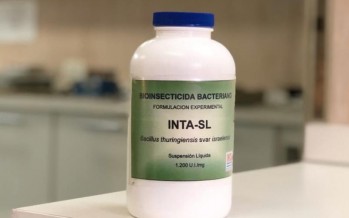 El INTA presentó un producto para combatir las larvas del mosquito transmisor del dengue