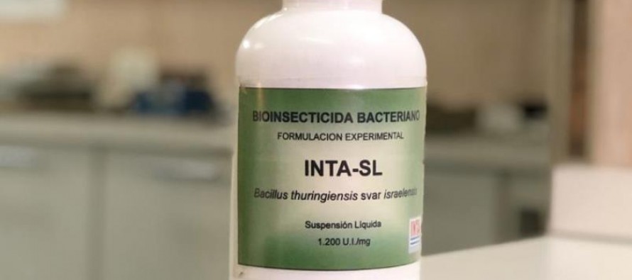 El INTA presentó un producto para combatir las larvas del mosquito transmisor del dengue