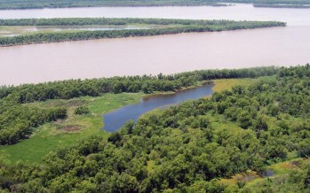 Reactivan plan para la conservación y el aprovechamiento sostenible del Delta del Paraná