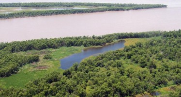 Reactivan plan para la conservación y el aprovechamiento sostenible del Delta del Paraná