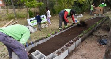 San Fernando tiene su primera huerta orgánica comunitaria
