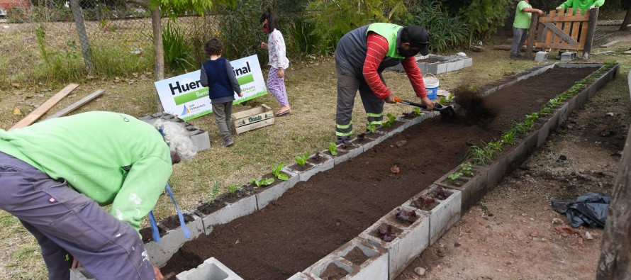 San Fernando tiene su primera huerta orgánica comunitaria