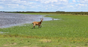 Parques Nacionales evalúa proyectos para la gestión de ecosistemas
