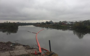 Nuevas barreras de contención de residuos en Tigre