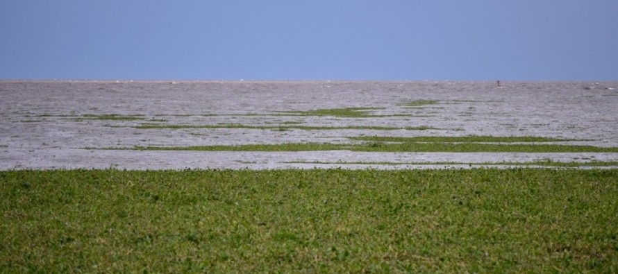 Se realizó una reunión virtual de la Red Nacional de Reservas de Biosfera