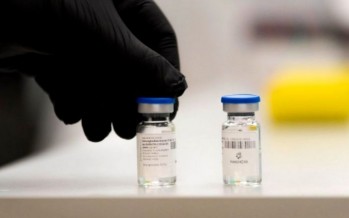 Comenzaron los estudios clínicos para evaluar el suero equino en pacientes con coronavirus