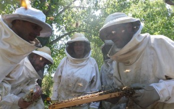 Avances y aprendizajes de los Grupos de Abastecimiento Local de la zona del Delta del Paraná