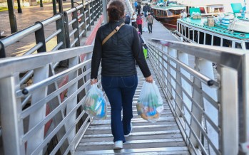 San Fernando lleva entregado 150 mil bolsones del Servicio Alimentario Escolar