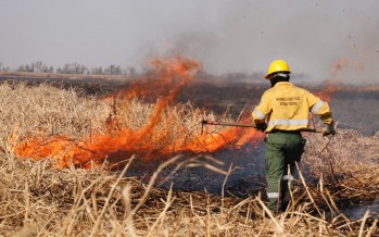 Cabandié celebró el fallo de la Corte sobre el Delta: “El camino es el desarrollo sostenible”