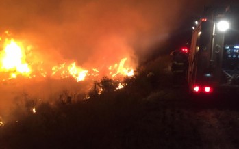 Denuncian a productor ganadero por incendio de pastizales en el Delta sanfernandino