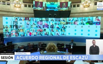 El Acuerdo de Escazú tuvo media sanción en el Senado: ¿por qué es importante?