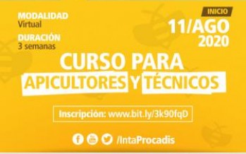 Continúa abierta la inscripción para el curso ‘Buenas prácticas en alimentación de abejas’ dictado por INTA