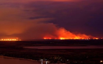 Incendios en el Delta: la Defensoría del Pueblo sostiene la necesidad de una gestión interjurisdiccional