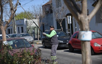 San Fernando realiza un cuidado especial de los crespones de la ciudad