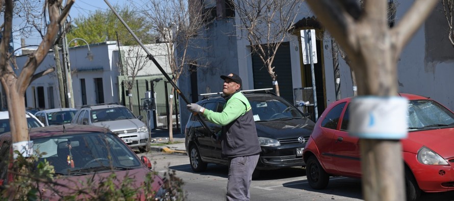 San Fernando realiza un cuidado especial de los crespones de la ciudad