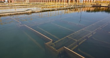 AySA solicita un uso racional del servicio de agua potable frente al apagón masivo