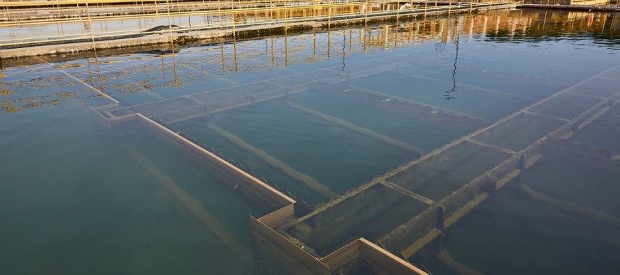 AySA solicita un uso racional del servicio de agua potable frente al apagón masivo