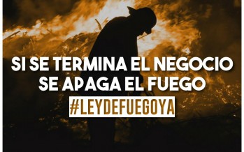 Diputados: dictamen favorable de comisión al proyecto de ley que busca frenar los incendios