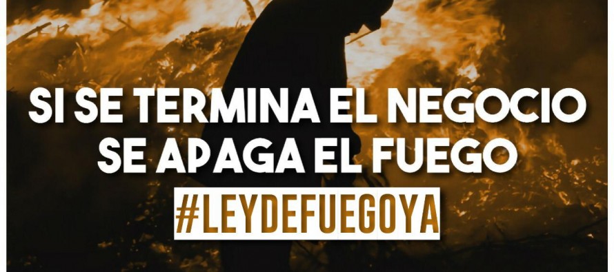 Diputados: dictamen favorable de comisión al proyecto de ley que busca frenar los incendios
