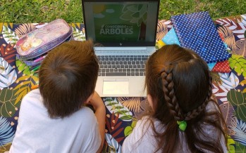 ¿De qué trata el proyecto de Ley de Educación Ambiental?