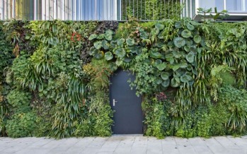 Integrar la naturaleza en entornos urbanos mejora la calidad de vida