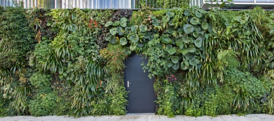 Integrar la naturaleza en entornos urbanos mejora la calidad de vida