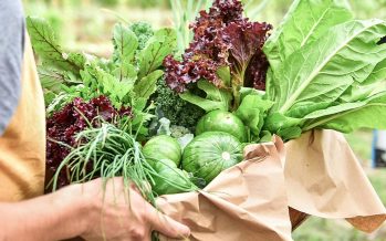 La Provincia impulsa la agroecología y el desarrollo sustentable con una nueva convocatoria para productores rurales