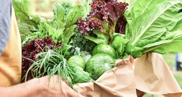 La Provincia impulsa la agroecología y el desarrollo sustentable con una nueva convocatoria para productores rurales