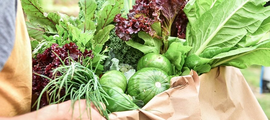 La Provincia impulsa la agroecología y el desarrollo sustentable con una nueva convocatoria para productores rurales