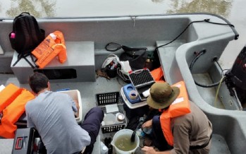 Cianobacterias en el Delta: la Autoridad del Agua y Tigre continúan con los análisis