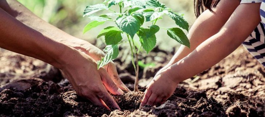 Diferentes organizaciones ambientales piden la aprobación de la Ley de Educación Ambiental