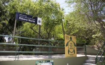 San Isidro impulsa un encuentro de avistaje de mariposas en Ribera Norte