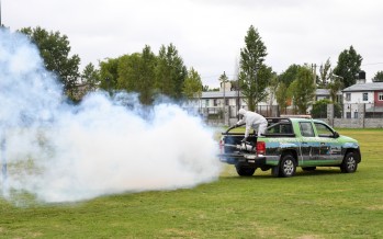 San Fernando realizó nuevos operativos de prevención contra el dengue y mosquitos