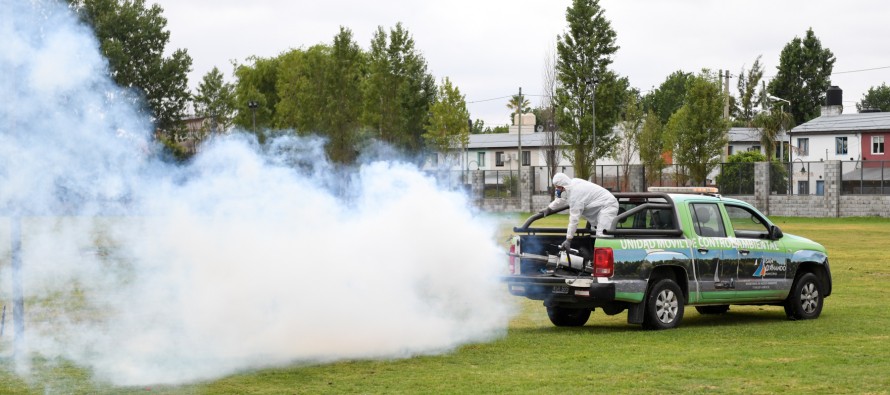 San Fernando realizó nuevos operativos de prevención contra el dengue y mosquitos