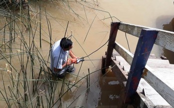 Continúan los trabajos de mantenimiento integral en el Delta de Tigre