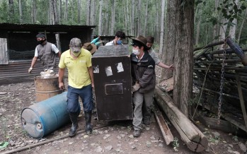 Rescataron a un ciervo de los pantanos en el Delta sanfernandino