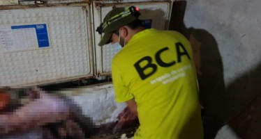 Golpe a la caza furtiva en el Delta: se secuestraron 700 kilos de carne de animales silvestres