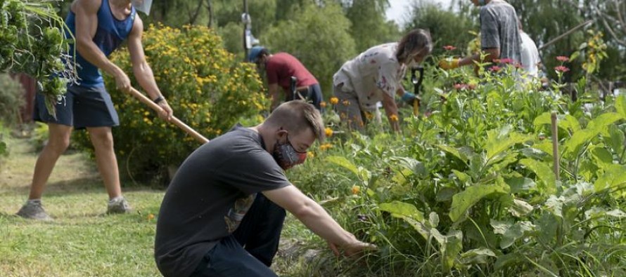 San Isidro lanzó un mapa agroecológico para localizar huertas y composteras