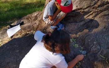 Escobar organizó el primer encuentro de mini protectores ambientales en la Reserva Natural Educativa