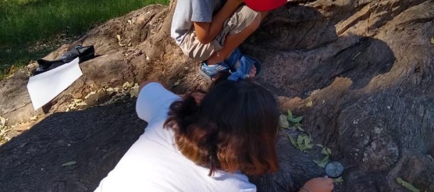 Escobar organizó el primer encuentro de mini protectores ambientales en la Reserva Natural Educativa