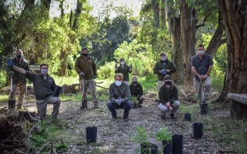 Plantación de nativas en la Reserva Educativa de Ingeniero Maschwitz